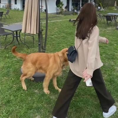 直到永远